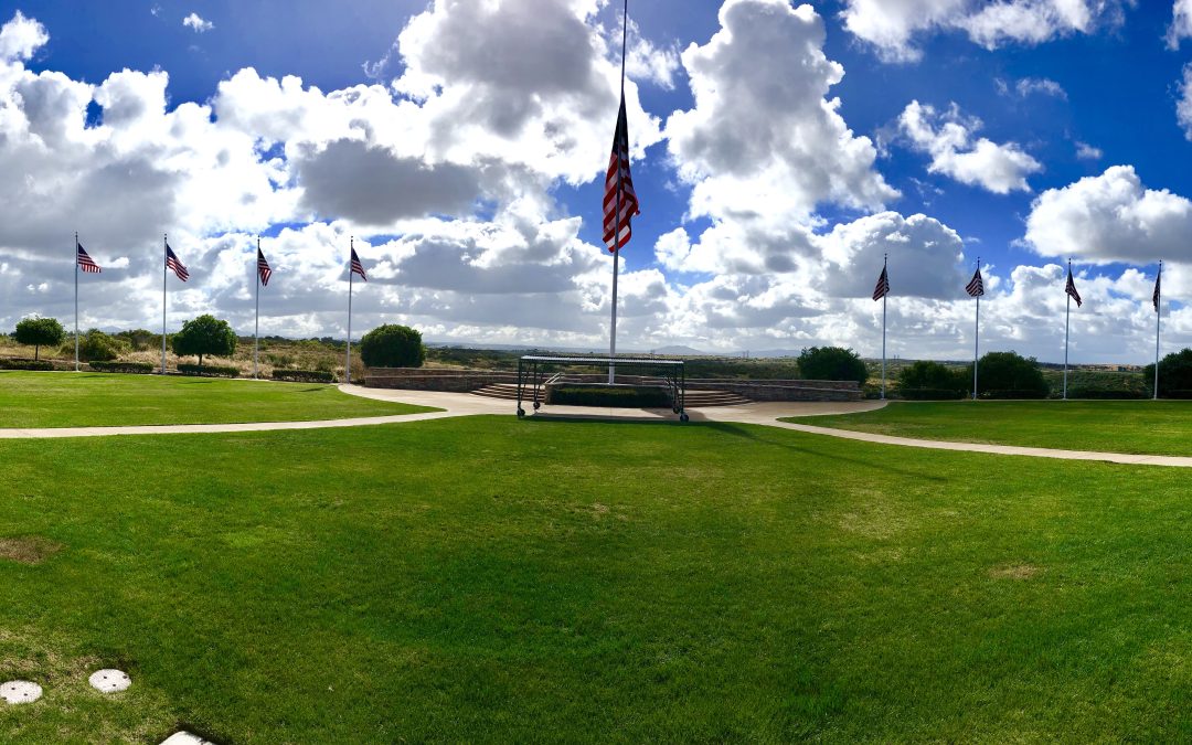 July Blog: Freedom Ain’t Free 🇺🇸