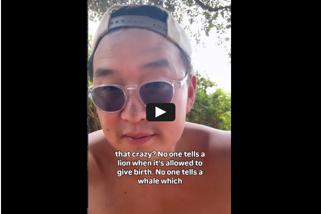 VLOG